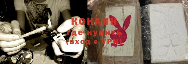 дживик Надым