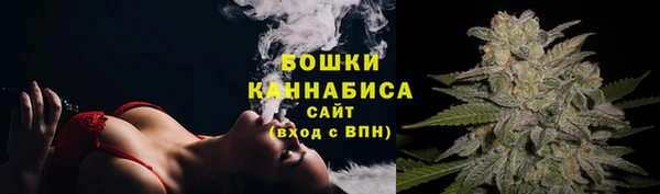 стафф Нефтекумск