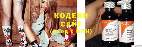 дживик Надым