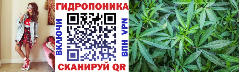 купить наркотики сайты  Петушки  Бошки марихуана Amnesia 